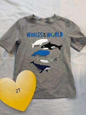 Cat & Jack - LIKE NEW - Charcoal Rashguard Tee